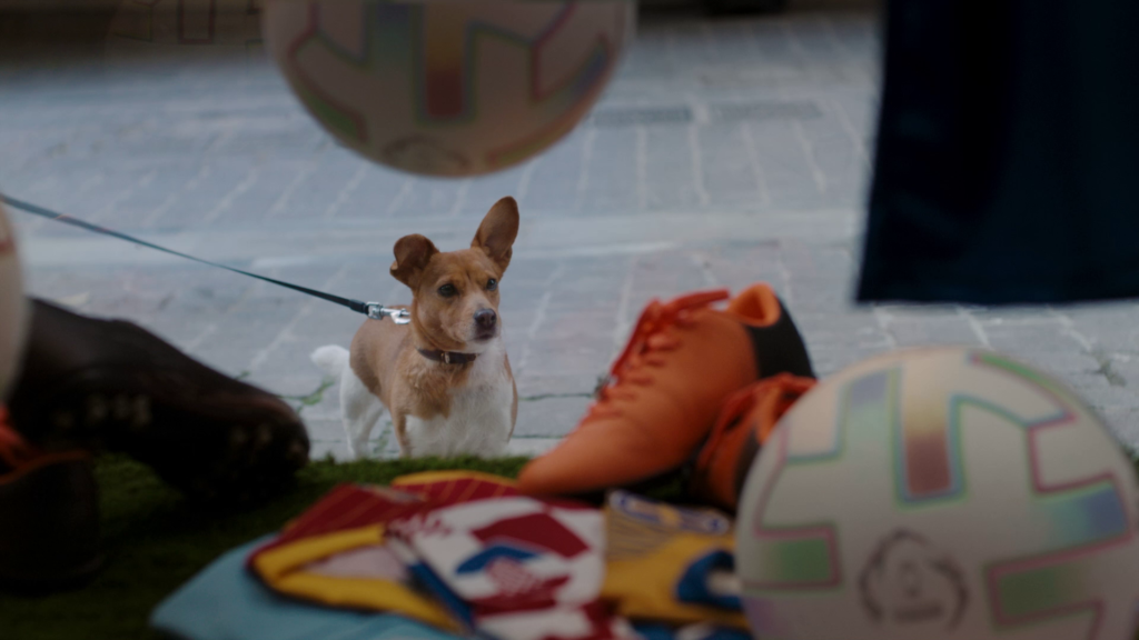 O πιο πιστός φίλος του Euro είναι ο... Rex της Stoiximan 1 Rex Stoiximan