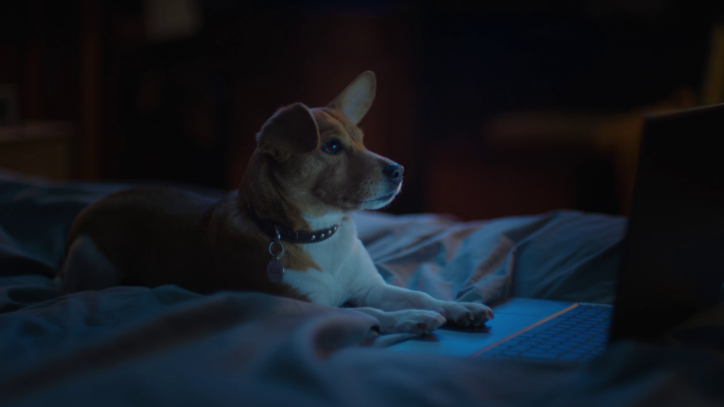 O πιο πιστός φίλος του Euro είναι ο... Rex της Stoiximan 2 Rex Stoiximan